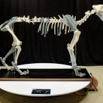 How 3D Printing Can Restore Museums and Ancient Artifacts